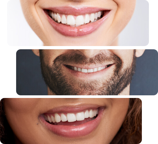 Quality Management Principles